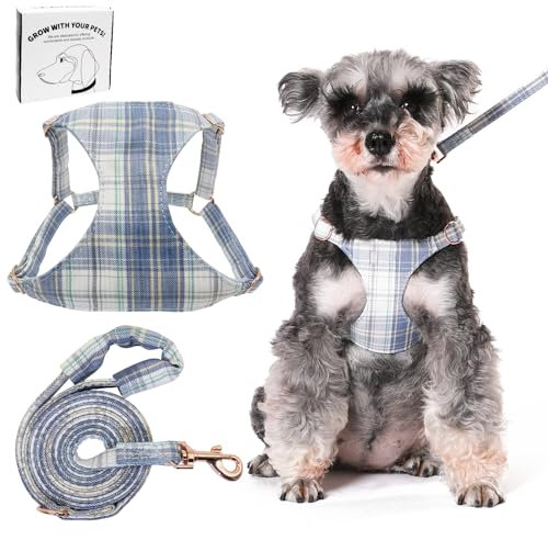 Dote on No Pull Hundegeschirr und Leine, weich, verstellbar, Welpen- und Katzengeschirr, floral/kariert, ausbruchsicher, Haustierweste, Geschirr für extra kleine/kleine mittelgroße Hunde, Blau