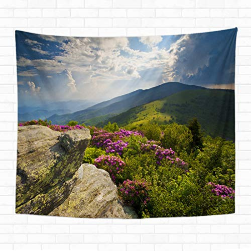 614 Wall Tapestry Appalachian Trail Roan Mountains Rhododendron Bloom On Blue Ridge Tapestry Durable Aesthetic Wall Hanging Beach Blanket, For Office, Home Decor, 100x150cm