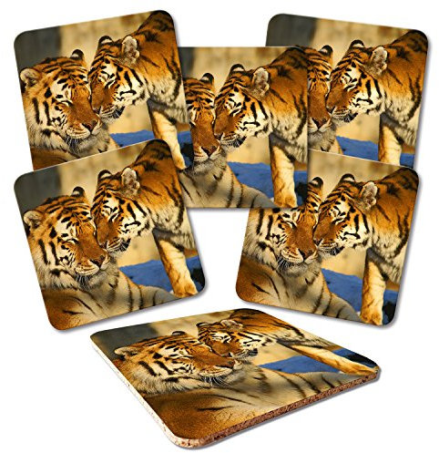 ADDIES Glas-Untersetzer 6-TLG.Set Bedruckt Motiv Tiger in hochwertiger Klarsicht-Geschenkbox und Korkrückseite