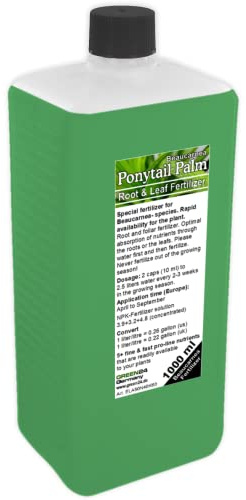 GREEN 24 Engrais pied d'éléphant Engrais liquide Beaucarnea HIGHTECH 1000ml