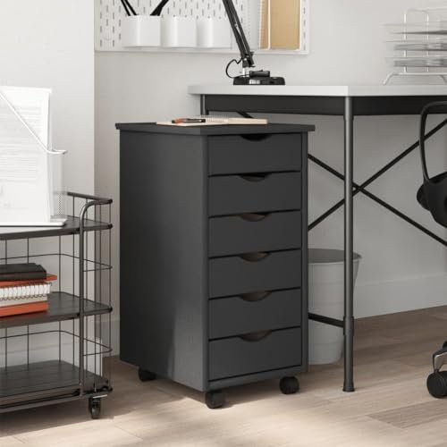 LLEZKBR Möbelstück Rollschrank mit Schubladen MOSS Grau Massivholz Kiefer