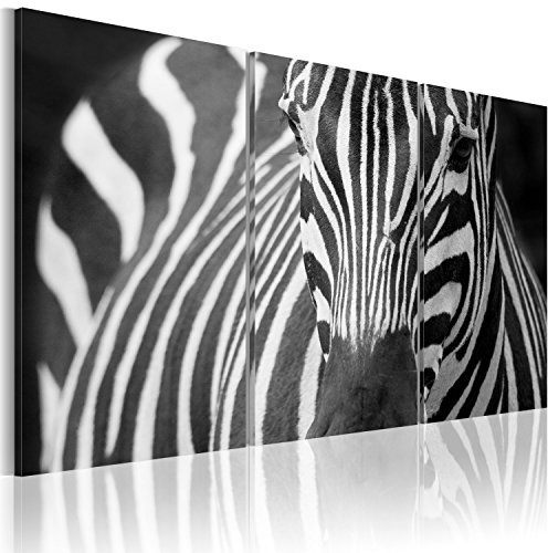 B&D XXL - Wandbilder XXL Tiere 120x80 cm Vlies Leinwandbild 3 Teilig Kunstdruck modern Wandbilder XXL Wanddekoration Design Wand Bild - Zebra schwarz weiss 030216-14