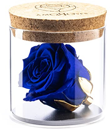 Amoroses Bijou - Ewige stabilisierte Rose mit 24 Karat vergoldetem Kelch im Glasgefäß | Geschenkidee