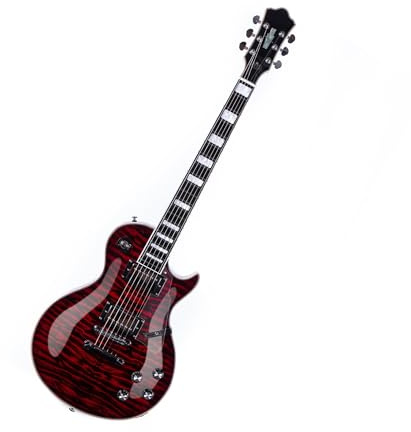 Elektrische Gitarre Professionelles E Gitarren Farbinstrument Geeignet Für Erwachsene Anfänger(Burgundy)