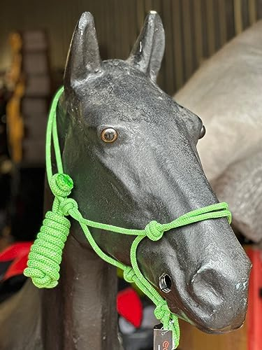 Hi-Viz reflektierendes Seilhalfter mit Führstrick Se voll verstellbar (Cob, Grün)