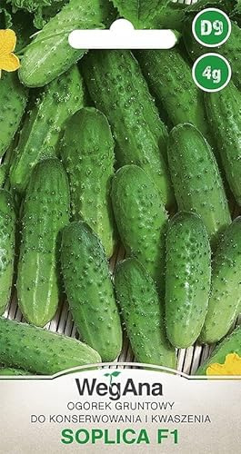 WegAna Gemahlene Gurke Soplica F1 4g, Robuste Gemüsesamen Gemüse Samen Anzucht Saatgut Balkon & Garten