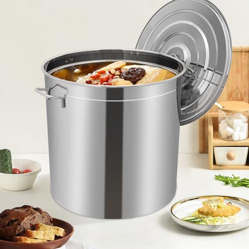 Olla grande de 50 L, universal, de acero inoxidable, con cesta y tapa, para restaurantes, cafeterías, buffets