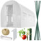 Plonos Serre Tunnel avec Cadre en Acier - avec Support pour Plantes - 2 x 3 x 2 m - 6 m² - Blanc