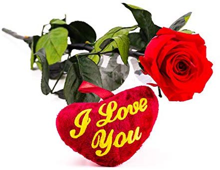 Rosen-Te-Amo | Infinity Rosen am Stiel Rot - Rosenduft |Echte Rose Geburtstagsgeschenk für Frauen, Ewige Rose in Geschenkbox| Konservierte Blume zum Weihnachten, Valentinstag, Mama, Deko Geschenk