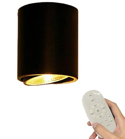 FSLiving LED Deckenspot Aufbauspot Dimmbar, Aufputz Spots Deckenstrahler aus Aluminium Downlight, Schwarz Aufbaustrahler Schwenkbar 230V 12W mit Fernsteuerung für Küche Wohnzimmer Schlafzimmer BD0852