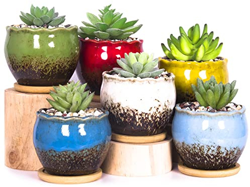 ARTKETTY Succulent Plant Pots, 10 CM Ceramic Cactus Plant Pots with Drainage Hole and Trays, Small Colourful Flower Plant Pot for Indoor Home/Office Windowsill Decor (Set of 5)