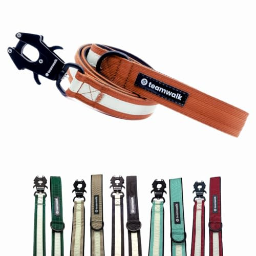 teamwalk® Premium hundkoppel – med ljusremsor, mjuk stoppning, robust spänne, (roströd, koppel, roströd (130 cm)) – perfekt anpassad längd, för en bra linnekänsla.