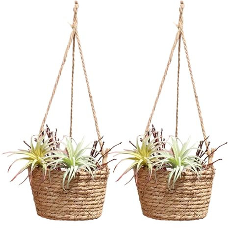 BestAlice 2 Pz Cesti da Appendere per Piante Fioriera da Appendere 7.8 Pollici Rattan Portafiori Porta Appendiabiti Epipremnum Vaso Canapa Corda da Parete Paglia Decorativa Fioriera Decorativa