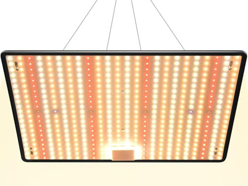 DragonLight 2024 Ultima lampada LED a spettro completo HW3000 con UV IR, doppio chip LED Grow lampada con cavo da 3 metri per serra e piante d'appartamento, ortaggi e fiori