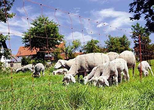 AKO Fencing 27252 OviNet Schafnetz Doppelspitze, Höhe 90 cm, orange