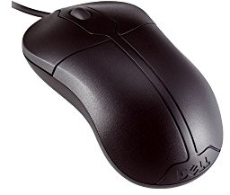 DELL MS111 - Mäuse (USB, Kabel, Büro, Optisch, Ambidextrös, Schwarz)