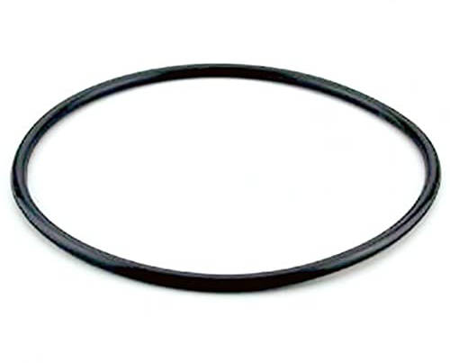 AstralPool JUNTA TAPA marca