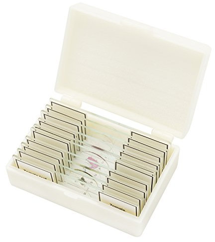 Bresser 5984500 Profi-Qualität Dauerpräparate für Mikroskop (10 Stück) durchsichtig