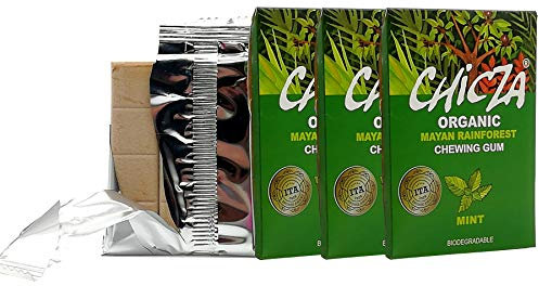 CHICLE ORGANICO sabor menta 30gr. BIO