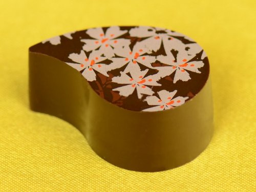 Magnetform Tropfen, 1 Stück, Pralinenform