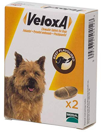 Veloxa Chewable Dog Wormer, 4 Tablets