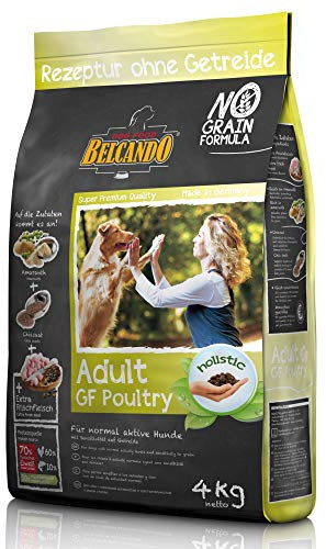 Belcando Adult GF Poultry [4 kg] Hundefutter | Rezeptur ohne Getreide | Alleinfuttermittel für ausgewachsene Hunde ab 1 Jahr