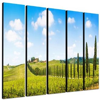 Weinberge Weinreben Toskana 5x30x120cm XXL extra großes 5-teiliges Wandbild auf Leinwand und Keilrahmen fertig zum aufhängen - Unsere Bilder auf Leinwand bestechen durch ihre ungewöhnlichen Formate und den extrem detaillierten Druck aus bis zu 100 Megapixel hoch aufgelösten Fotos.