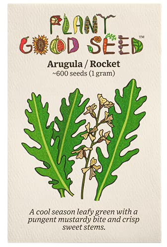 Plant Good Seed Organic Astro Arugula Seeds for Planting: Spicy Salad Green for Sporuting, Succulent Green Leaves - 600 Seed Packet