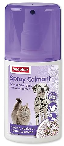 Beaphar – NO Stress – Spray calmant à la Valériane pour Chat – Réduit Le Stress et Les problèmes comportementaux sans dépendance ni Somnolence – Flacon 125 ML – 5 Heures d'action