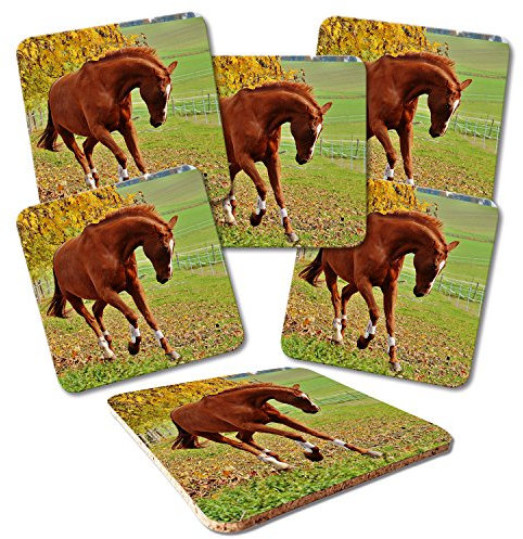 ADDIES Glas-Untersetzer 6-TLG.Set Bedruckt Motiv Pferde-01 in hochwertiger Klarsicht-Geschenkbox und Korkrückseite, Tier-Motiv