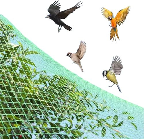 Oracra Vogelschutznetz Anti -Vogel -Netznetz für Garten, Hochleistungs -Obstbaum -Blaubeerbüsche Zäune Transparentes Gitter, Wiederverwendbare Präventionsnetzwerkabdeckungen (Size : 2x6m/6.6x19.6ft)