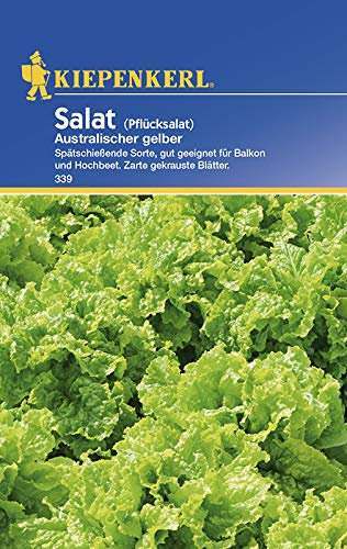Kiepenkerl 339 Pflücksalat Australischer gelber (Pflücksalatsamen)