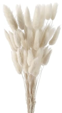 GIUSOBG Code di Coniglio Erba della Pampa 50 Pezzi Pianta Boho Fiori Secchi Naturali, Pampas Decorative per Decorazioni Casa Tavola Matrimonio (Bianco)