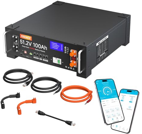 48V 100Ah Lithium LiFePO4 Solarbatterie, unterstützt Kommunikation mit Wechselrichter, integriertes 100 A BMS, max. 5120 W Ausgangsleistung, über 6000 Zyklen, ideal für Off-Grid-Systeme,