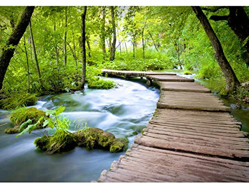 Runa Art Fototapete Wasserfall Brücke 352 x 250 cm Vlies Tapeten XXL Moderne Wandtapete Wohnzimmer Schlafzimmer Grün Beige 9035011a