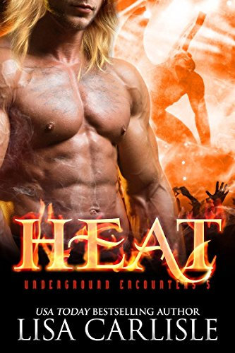 HEAT (a gargoyle shifter romance) (Underground Encounters Book 5)