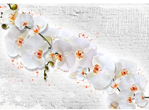 Runa Art Papier peint intissé 396 x 280 cm fleurs d'orchidée mur de pierre | Toison Décoration Murale Salon Chambre á Coucherr | Fabrication Allemande | blanc jaune 9323012a