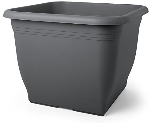 Floralo e. K. Pflanztopf Salo, quadratisch, anthrazit-Breite 33 cm x Tiefe 33 cm x Höhe 26 cm - Salo, Blumentopf, Quadratisch, Pflanzkübel, Pflanztopf, Blumenkübel