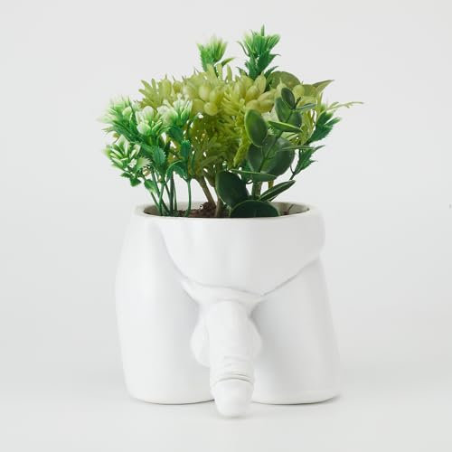 Lourich Vases de Corps pour Pot de Fleurs décoratif, Pot de Fleurs en résine Amusant, Pot de Fleurs pour Corps Masculin — Vase Amusant Cadeau Unique pour Plantes Grasses et Cactus (Blanc)
