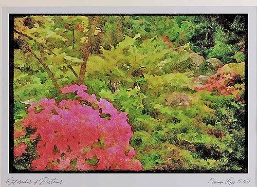 Wild Flowers Plants 013031 - Pink Azalea Bush Amid Shrubs Watercolour Picture Limited Edition A3