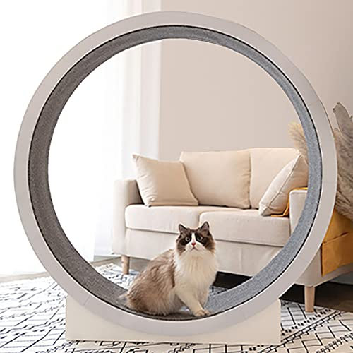 DIIDIIFF No Gap Anti Pinch Großes Katzen-Laufrad mit leisen Riemenscheiben, interaktives Spielzeug zum Abnehmen für Katzen im Innenbereich, weiß