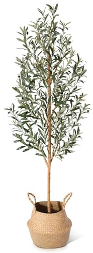 Faux Olive Tree 6FT – Tall Artificial Plants Indoor with Real Wood Trunk & Seagrass Basket, Lifelike Silk Leaves & Fruits – Potted Large Fake Trees for Home, Living Room, Bedroom & Office Decor