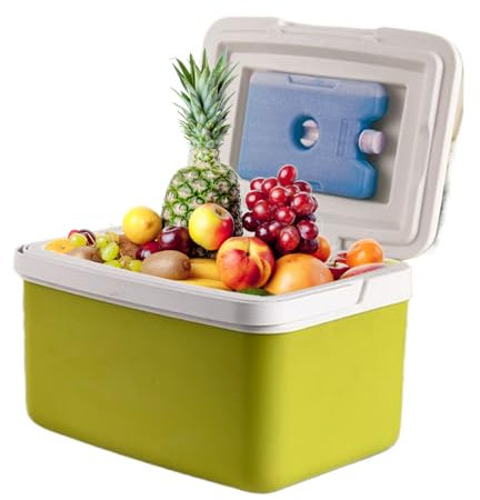 Buerfu 6/9 L Kleine Kühlbox | Passive Kühlbox | Kühltasche mit 4 Kühlakkus, für Auto, Camping, Picknick, BBQ