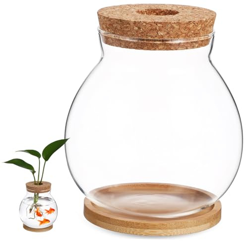DOITOOL Aquarium Verre Hydroponique avec Couvercle Bois et Coussin Bambou Terrarium Décoratif de Bureau pour Betta Jardinière Transparente Multifonctionnelle