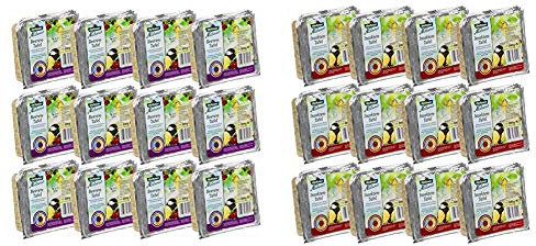 Dehner Natura Wildvogelfutter-Tafeln mit Beeren, 12 x 300 g (3.6 kg) & Natura Wildvogelfutter-Tafeln mit Insekten, 12 x 300 g (3.6 kg)