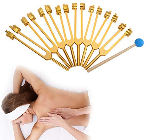 Chakra Stimmgabel Set, 8PCS Aluminiumlegierung Professionelle Klangheilungstherapie Stimmgabel Aluminiumlegierung Stimmgabel Werkzeugset