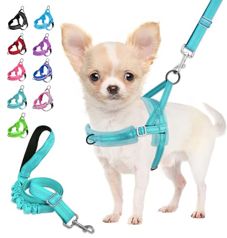 Eyein Hundegeschirr mit Leine für mittelgroße Kleine Hunde, Leichtgewicht | Weich Gepolstert & Reflektierend No-Pull Brustgeschirr mit 2 Leinenclips, verstellbar an Hals & Brust (Blaugrün,S)