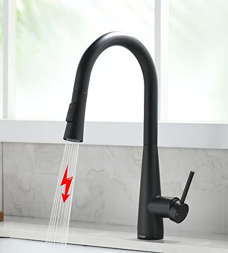 Tohlar Niederdruck Armatur Küche Schwarz, Küchearmatur mit Ausziehbare Brause, Niederdruck Wasserhahn Küche 360° Drehbar Küchenarmatur aus Edelstahl Moderner Einhand Spültischbatterie