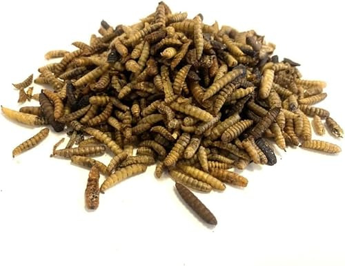 Dried Calciworms 500g Premium Wild Bird & Hedgehog Food MCW