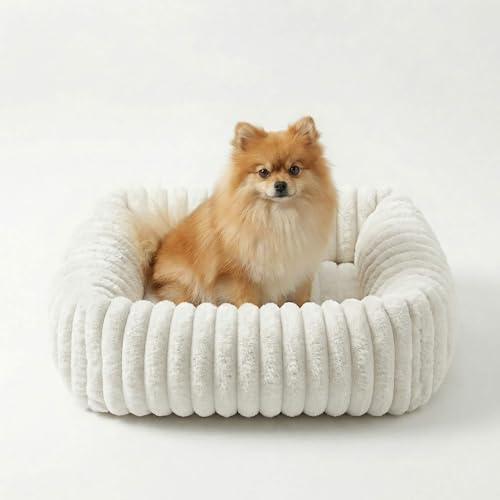 CareCooo Hundebett M, 63 x 53 x 18 cm, waschbar, Kunstkaninchenfell, Weiß